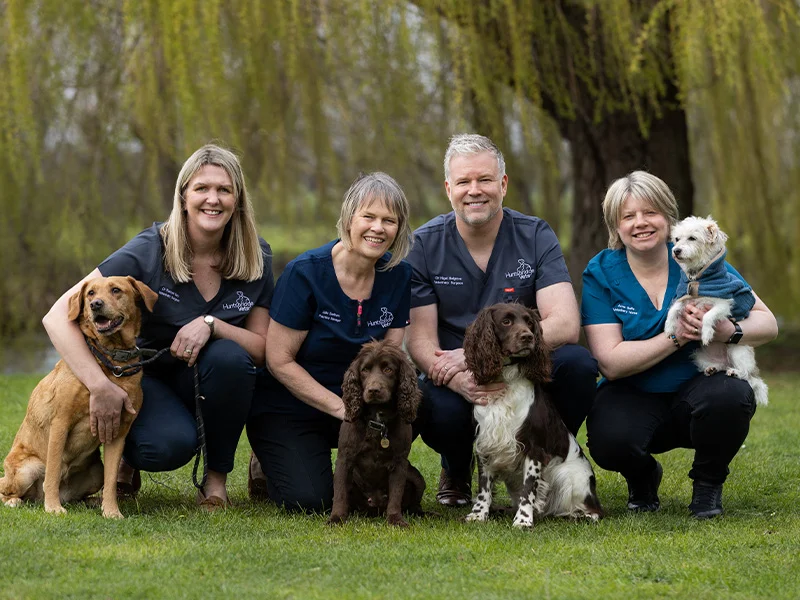 huntsbridgevets. team huntsbridgevets. team